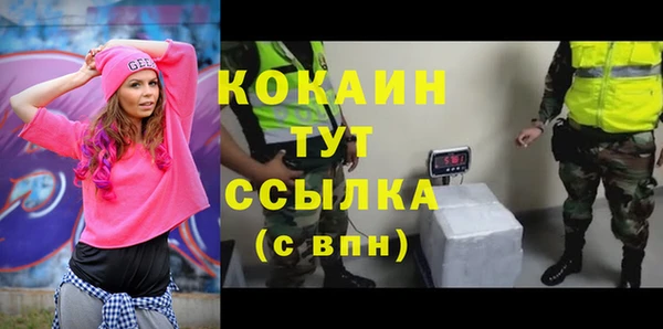 гидра Дмитров