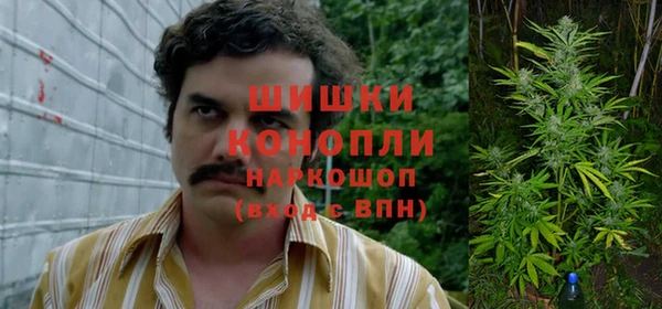 mdpv Гусев