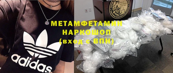 ПСИЛОЦИБИНОВЫЕ ГРИБЫ Дмитриев