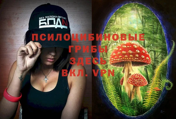 MDMA Premium VHQ Дмитровск