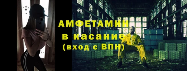 ПСИЛОЦИБИНОВЫЕ ГРИБЫ Дмитриев