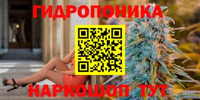 метадон Гай