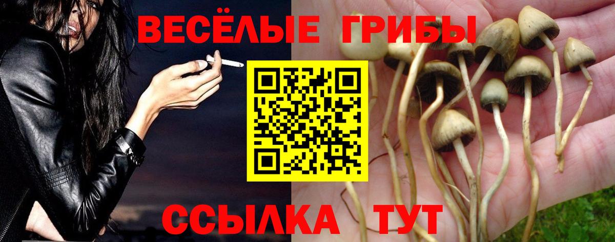 Галлюциногенные грибы мицелий  Великий Устюг  Галлюциногенные грибы Psilocybine cubensis 