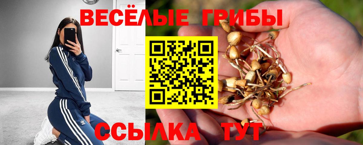 даркнет сайт  Вход с VPN  Великий Устюг  Галлюциногенные грибы Magic Shrooms 